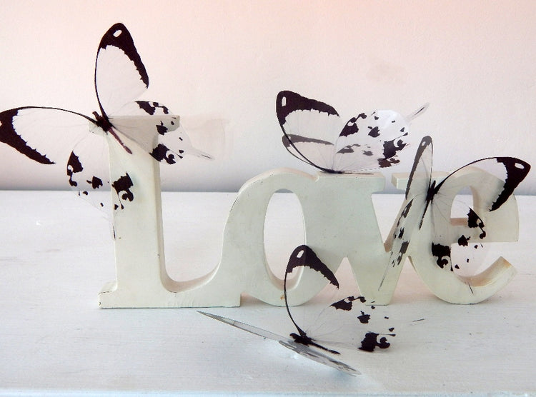 Black and white butterfly stickers