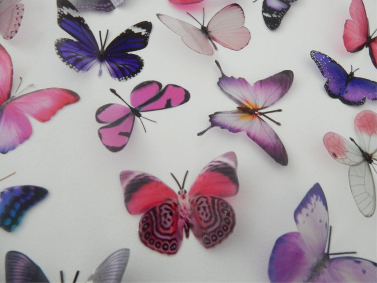 Decorative Butterflies, pink and purple scrapbooking, card making 3d wall stickers. Cut your own or have them cut for you. Craft Supplies