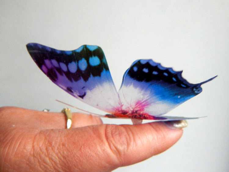 Decorative Butterflies, pink and purple scrapbooking, card making 3d wall stickers. Cut your own or have them cut for you. Craft Supplies