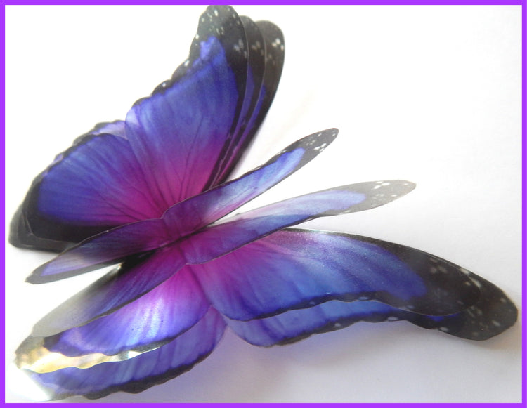 large 4D butterflies. Quadrable layered butterflies. Pretty butterfly embellishments.Translucent butterflies. Gift house warming decoration