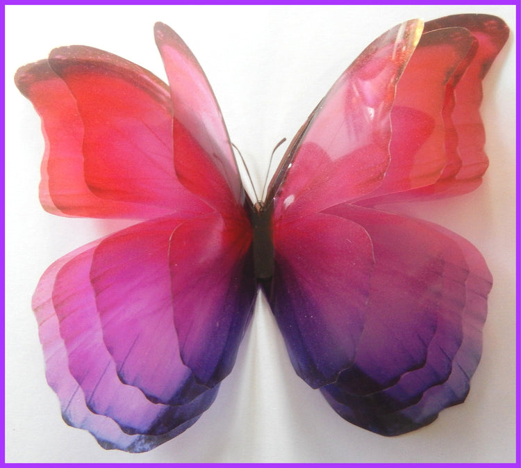 large 4D butterflies. Quadrable layered butterflies. Pretty butterfly embellishments.Translucent butterflies. Gift house warming decoration