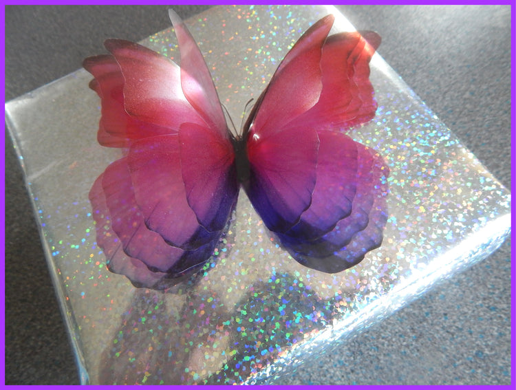 large 4D butterflies. Quadrable layered butterflies. Pretty butterfly embellishments.Translucent butterflies. Gift house warming decoration