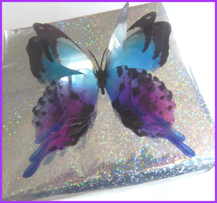 large 4D butterflies. Quadrable layered butterflies. Pretty butterfly embellishments.Translucent butterflies. Gift house warming decoration