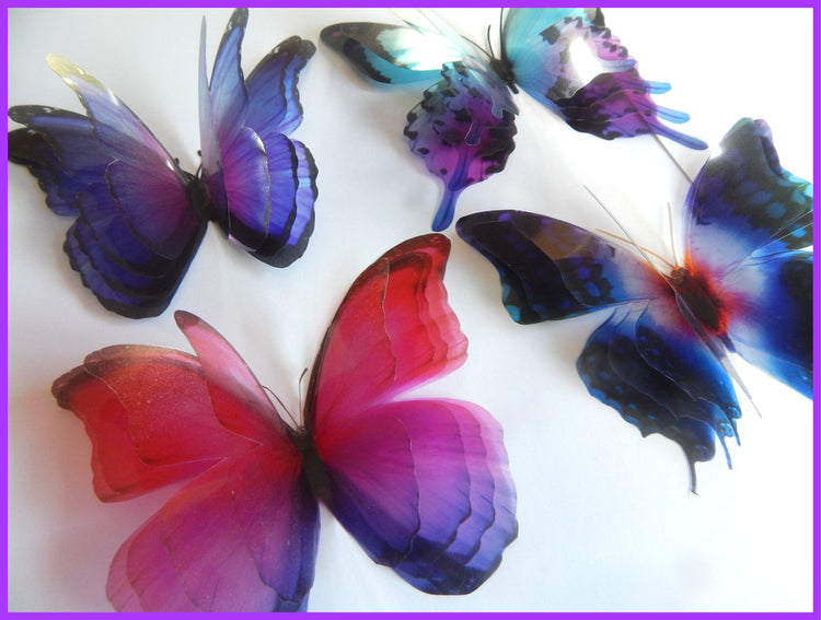 large 4D butterflies. Quadrable layered butterflies. Pretty butterfly embellishments.Translucent butterflies. Gift house warming decoration