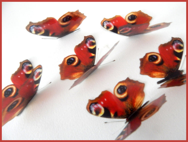 Natural butterflies British collection by flutterframes