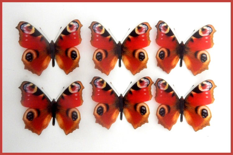 Peacock natural butterflies