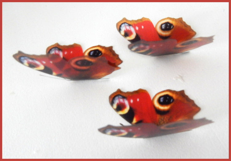 Craft embellishments Peacock butterflies