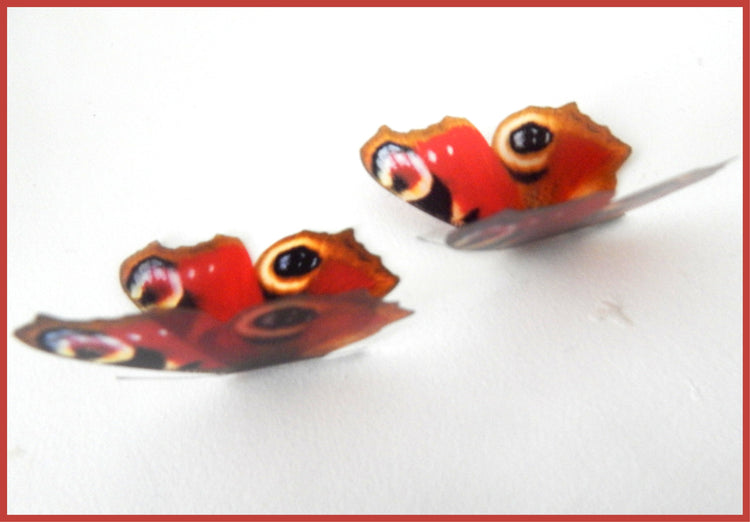 Scrap booking Peacock butterflies