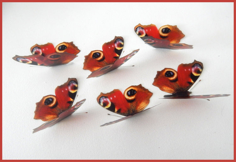 wall art stickers natural Peacock butterflies
