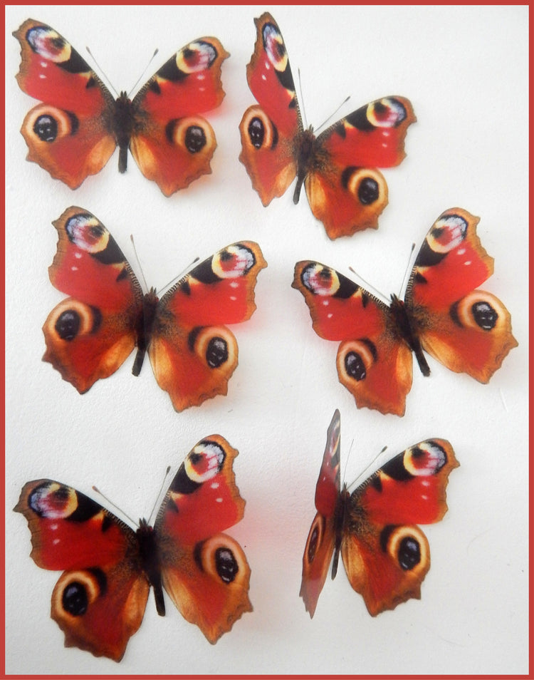 Natural butterflies British collection