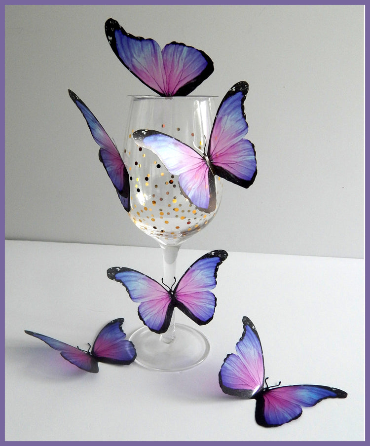 6 Very pretty butterflies