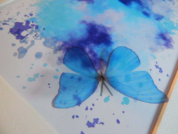 Blue 3d butterfly framed picture