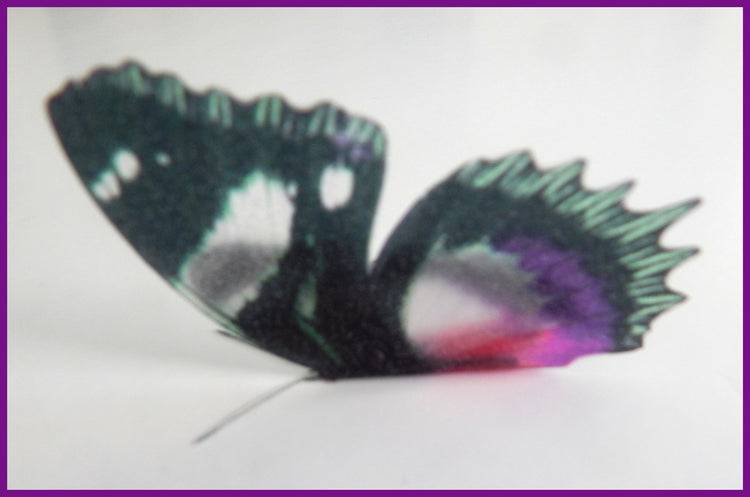 Designer hand crafted butterflies
