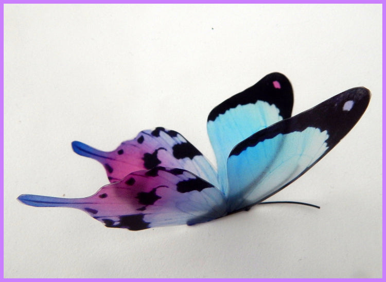 Set of 16 3D Mariposa Colorida butterflies, very pretty, natural looking faux butterflies in very pretty in pink, lilac and blues, stickers
