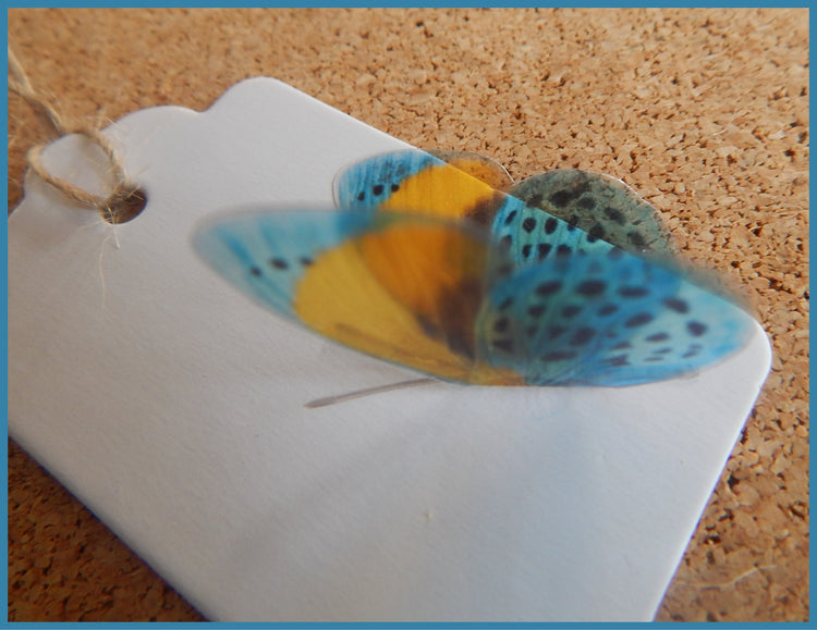 Butterfly gift tags. 10 natural butterfly gift tags, set of gift tags from the natural country butterflies collection. Handmade rustic
