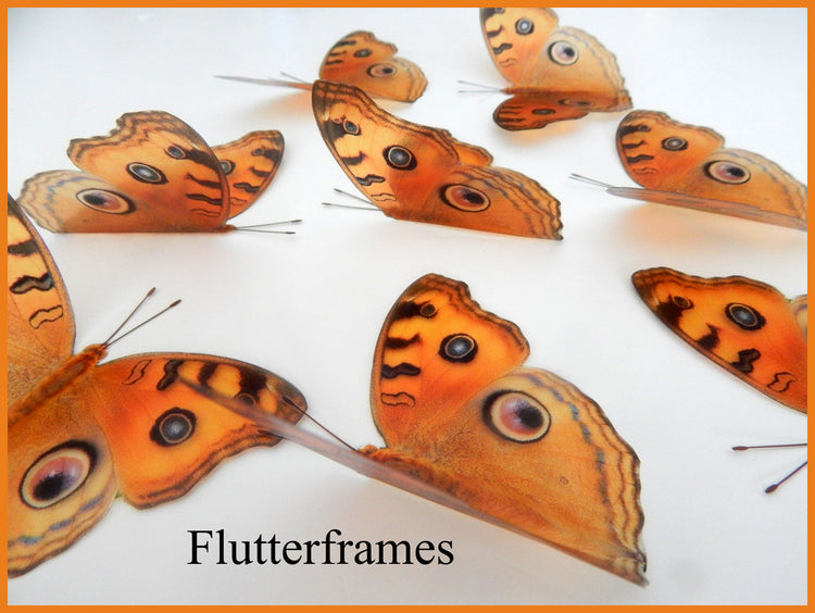artificial orange butterflies