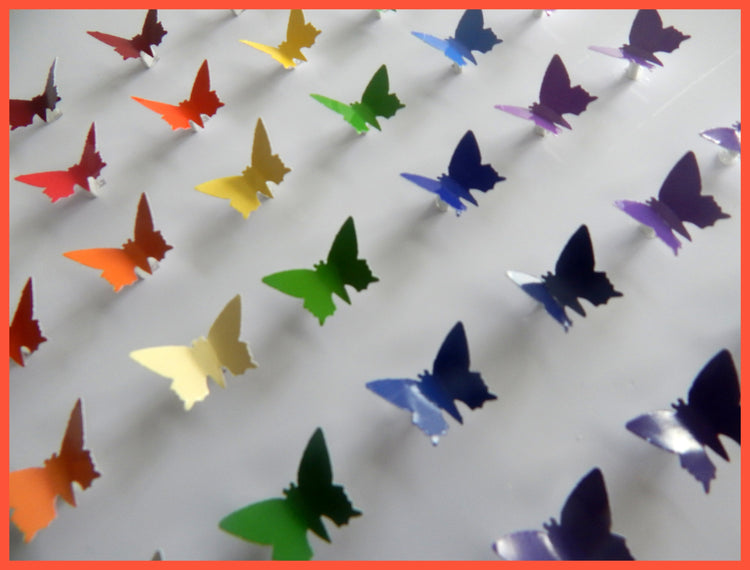Rainbow butterflies