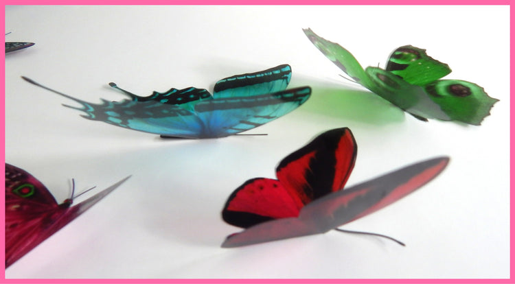 Green , blue and red butterfly natural by flutterframes