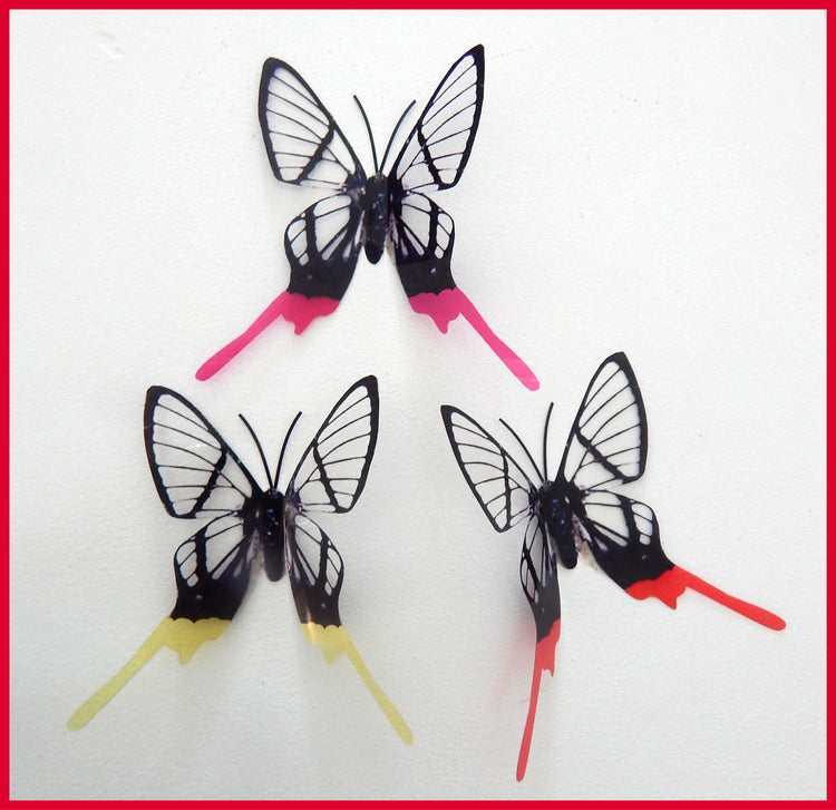 Multi-coloured Swallowtail butterflies, 3d butterflies, wall decor, bespoke butterfly wall stickers ,natural critters, conservatory,lounge