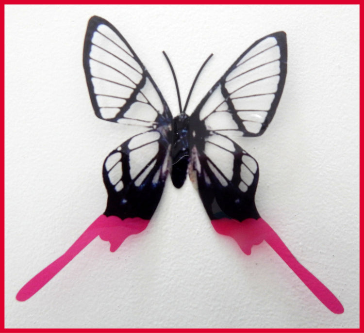 Multi-coloured Swallowtail butterflies, 3d butterflies, wall decor, bespoke butterfly wall stickers ,natural critters, conservatory,lounge