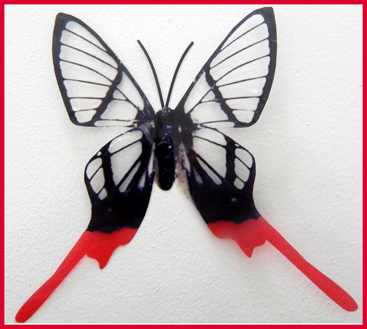 Multi-coloured Swallowtail butterflies, 3d butterflies, wall decor, bespoke butterfly wall stickers ,natural critters, conservatory,lounge