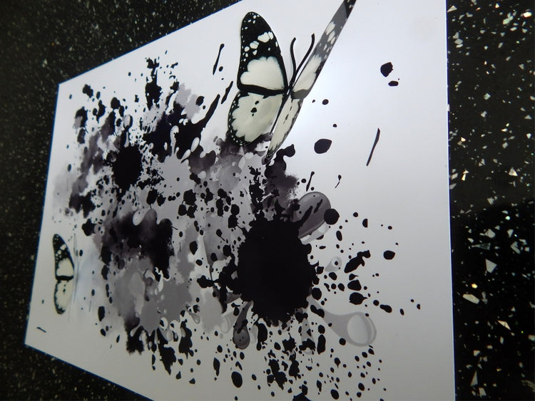 Black and white butterflies artwork
