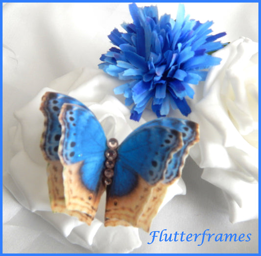 blue and beige silk butterfly