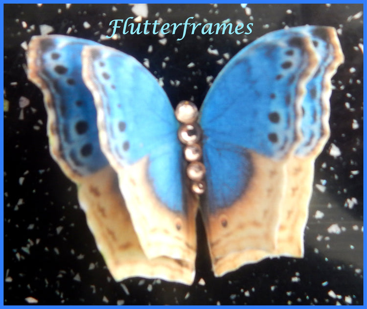 Blue and beige Butterflies,hair accessory, and made butterfly hair clip, butterflies