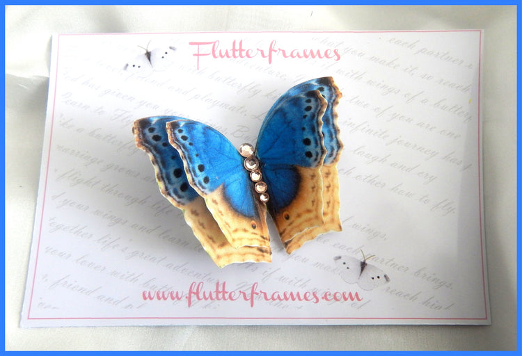 Blue and beige Butterflies,hair accessory, and made butterfly hair clip, butterflies