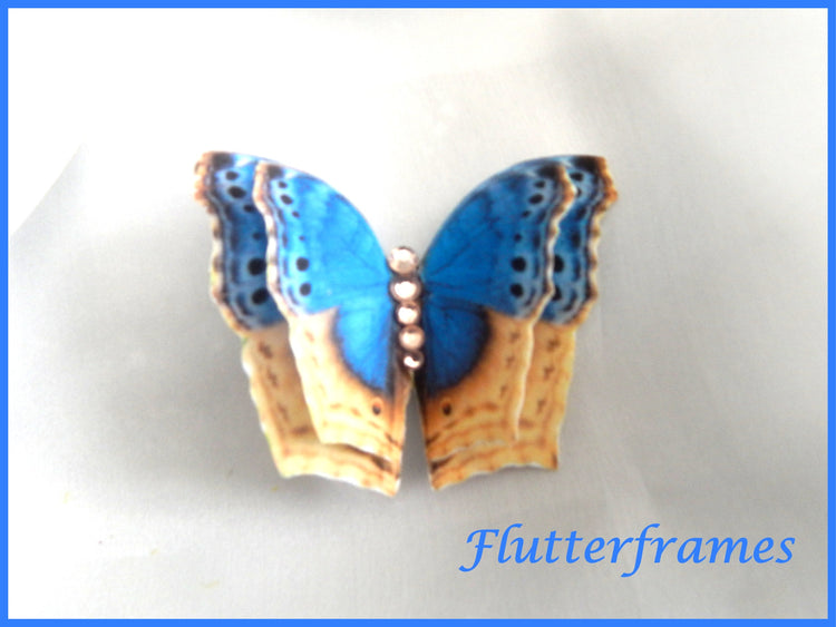 silk butterfly prom night