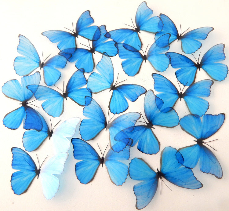 set of blue butterflies