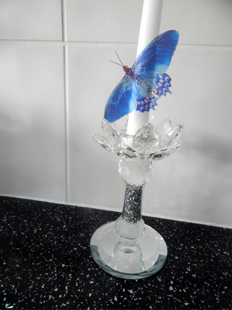 8 Blue Natural butterflies from our blue Country collection. 3d Butterfly stickers. Great for conservatories ,bedrooms. Realistic butterfly