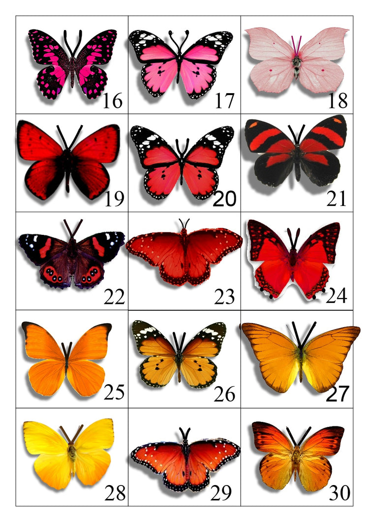 Miniature Butterflies for craft projects,decoration,embellishments,butterfly 3d stickers,miniature,dolls house,scrapbooking,tiny butterflies