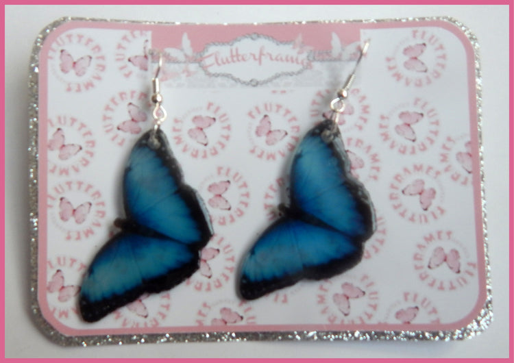 Quirky earrings. Butterfly earrings. Resin butterfly earrings, looks like a real butterfly. Dangle butterfly earrings. Butterfly jewellery.