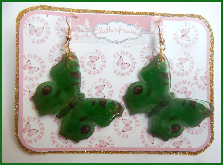 Quirky earrings. Butterfly earrings. Resin butterfly earrings, looks like a real butterfly. Dangle butterfly earrings. Butterfly jewellery.