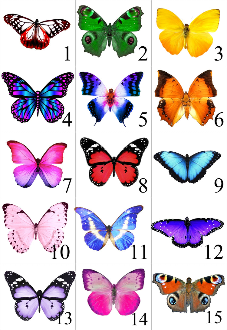 Quirky earrings. Butterfly earrings. Resin butterfly earrings, looks like a real butterfly. Dangle butterfly earrings. Butterfly jewellery.