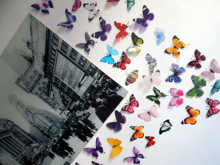 Set of 50 butterfly wall stickers. Similar to Escape to the Chateau