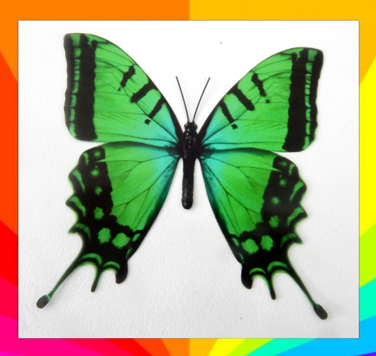 8 Bright, colourful butterflies from our Colourful collection. 3d Butterfly stickers. Great for conservatories ,bedrooms