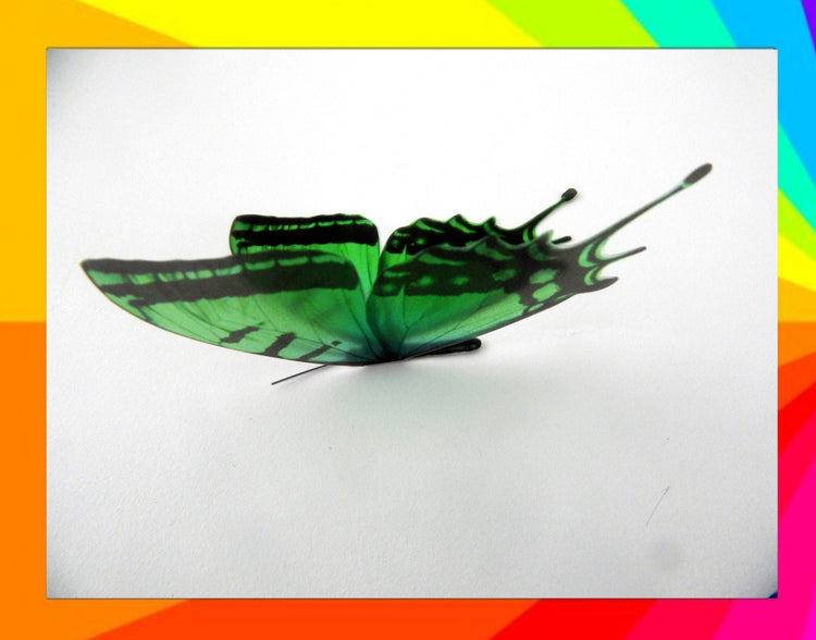 bright green butterfly