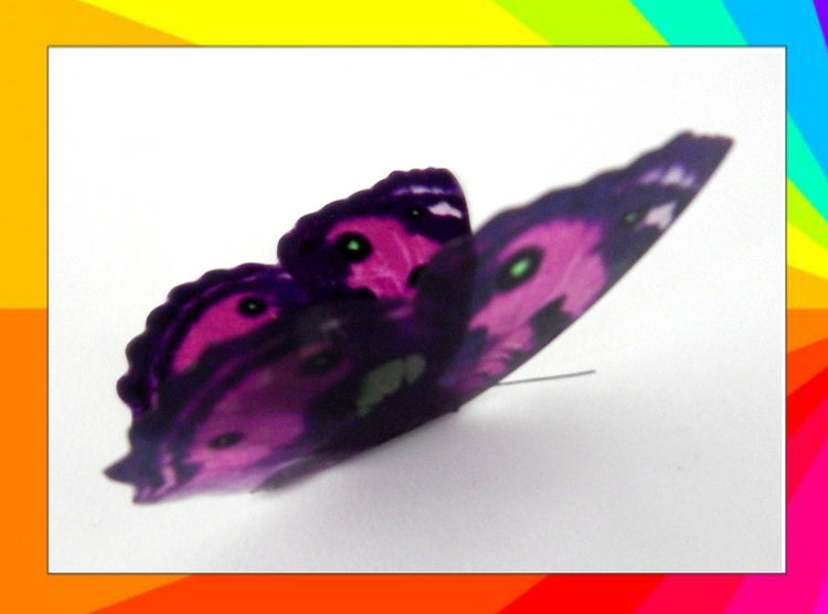 8 Bright, colourful butterflies from our Colourful collection. 3d Butterfly stickers. Great for conservatories ,bedrooms