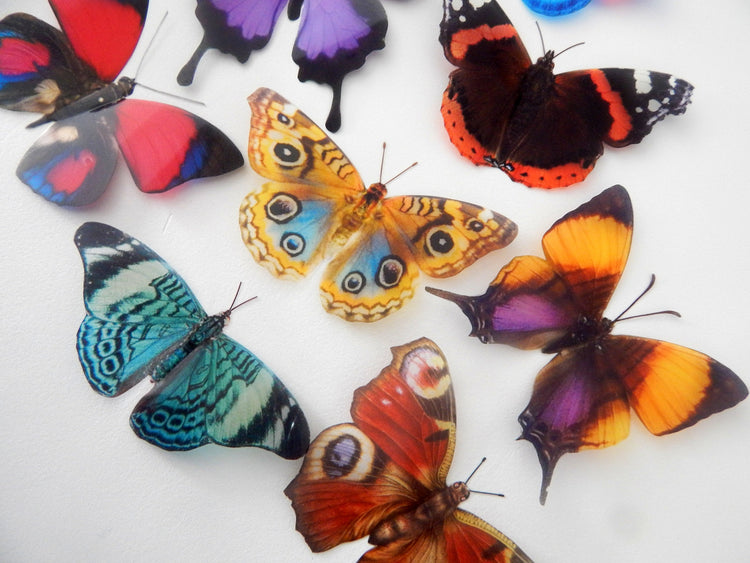 8 Natural butterflies 3d butterfly stickers handmade, butterfly decor for the wall,sun catchers,from the Countryside collection