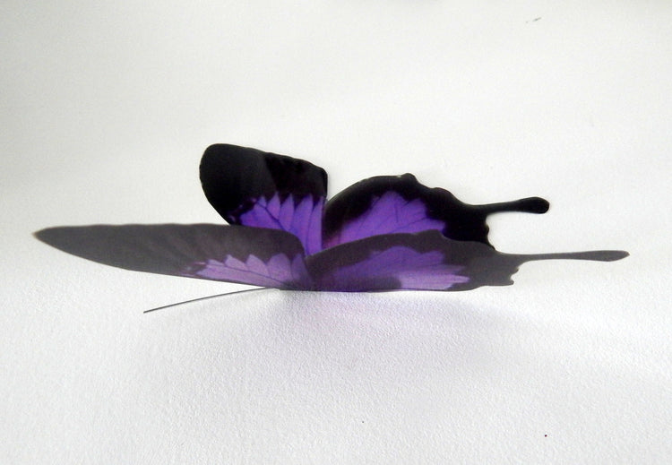 8 Natural butterflies 3d butterfly stickers handmade, butterfly decor for the wall,sun catchers,from the Countryside collection