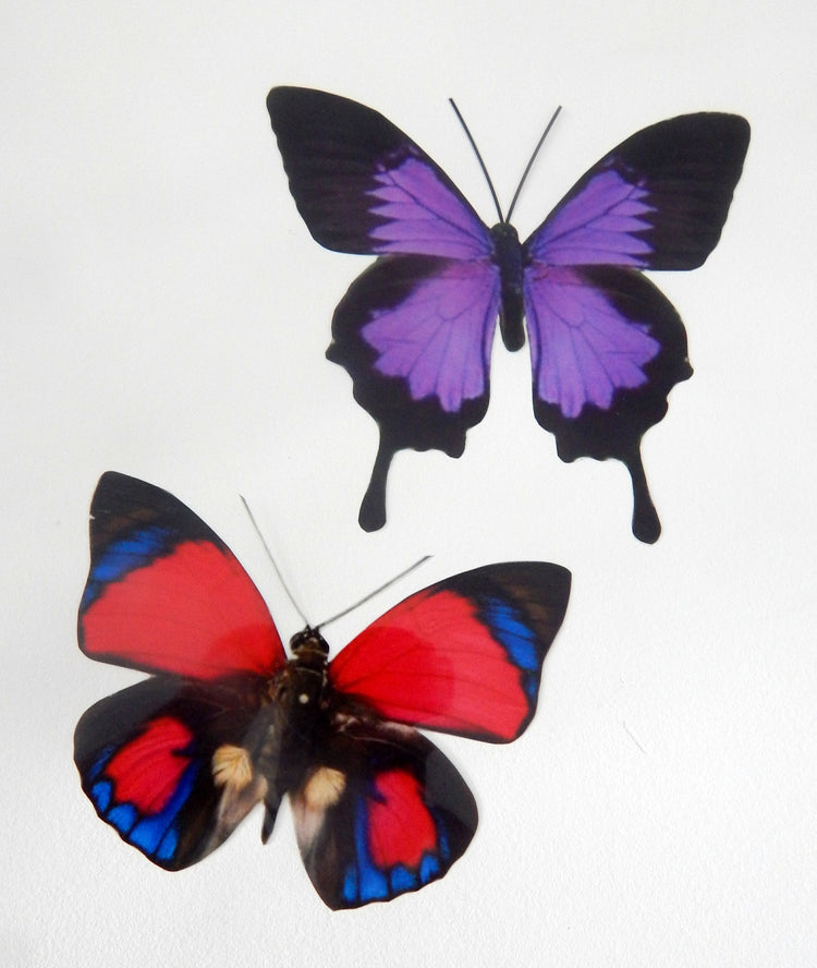 8 Natural butterflies 3d butterfly stickers handmade, butterfly decor for the wall,sun catchers,from the Countryside collection