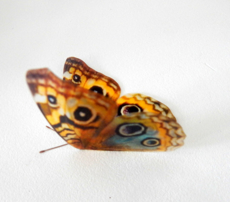 8 Natural butterflies 3d butterfly stickers handmade, butterfly decor for the wall,sun catchers,from the Countryside collection