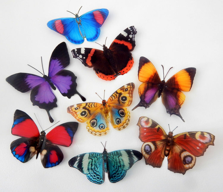 8 Natural butterflies 3d butterfly stickers handmade, butterfly decor for the wall,sun catchers,from the Countryside collection