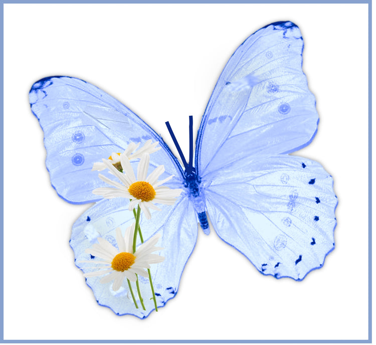 Daisy wall art decor