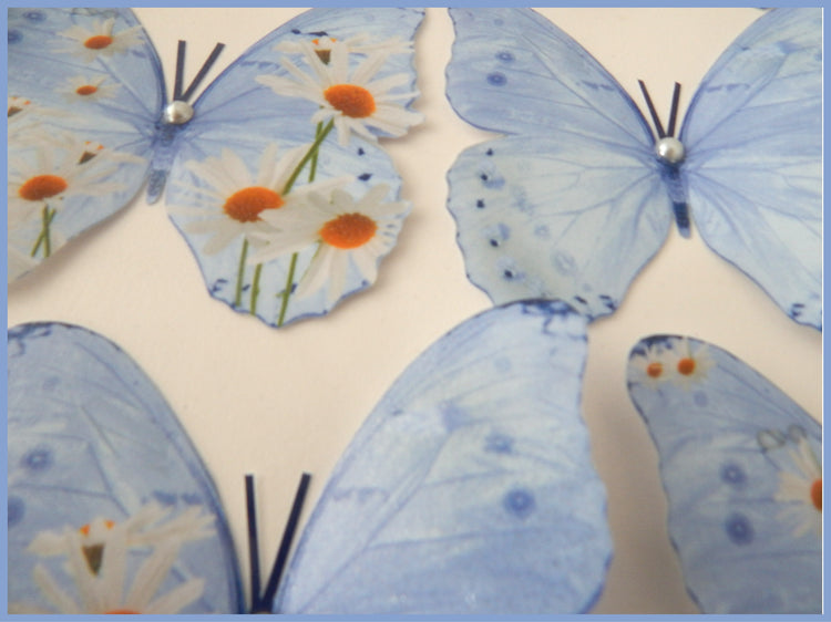 beautiful Daisy butterflies, weddings decor, for lounge,hall,conservatory,bedroom decor, wall decals,birthday gift, wedding decorations
