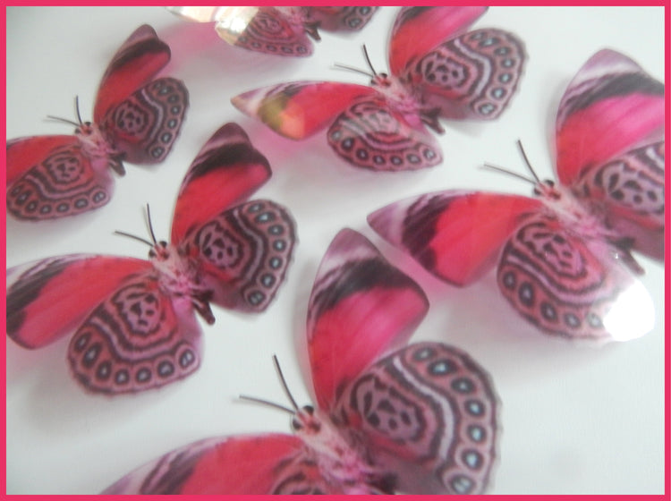 3D Exotic Pink Butterflies 3D Wall Decal Decor, Wall Art,very realistic natural butterflies,pretty wall decoration, vase