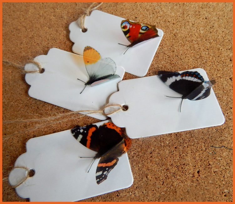 Butterfly gift tags
