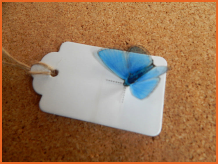 Butterfly gift tags by Flutterframes